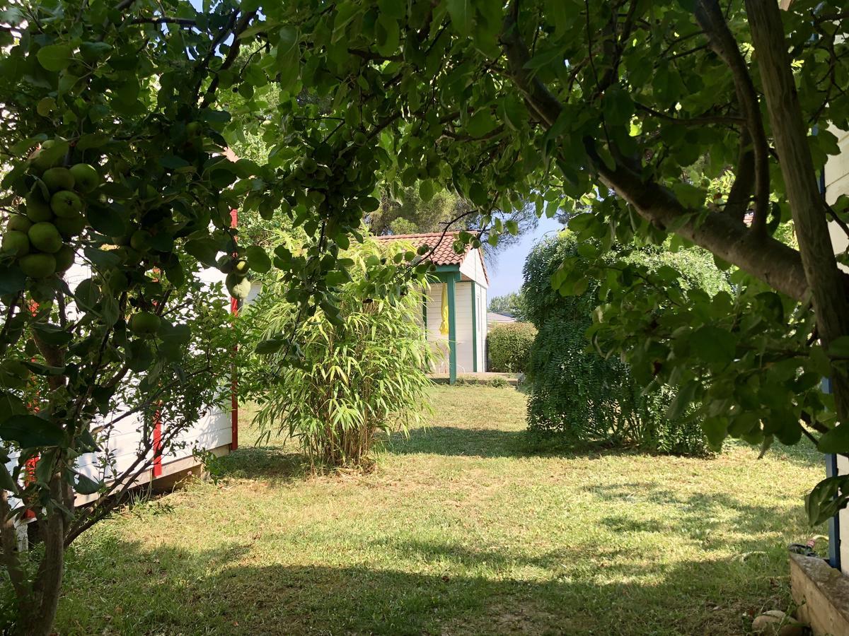 Bungalows & Rooms - Git'Ostal Carcassonne Bagian luar foto